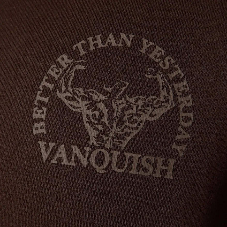 Vanquish Dark Brown Unconquerable Strength Quarter Zip Sweater